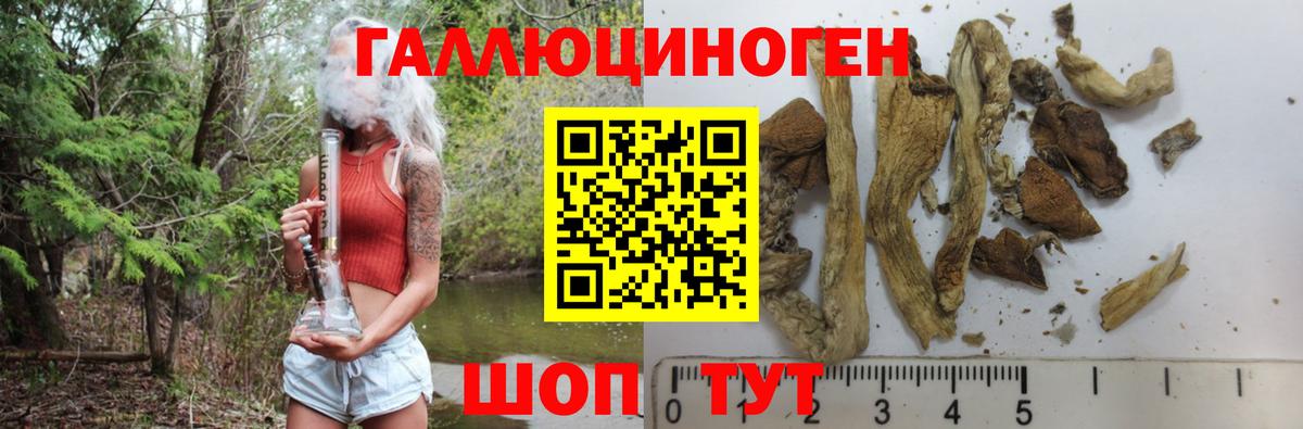 Галлюциногенные грибы Psilocybe Самара